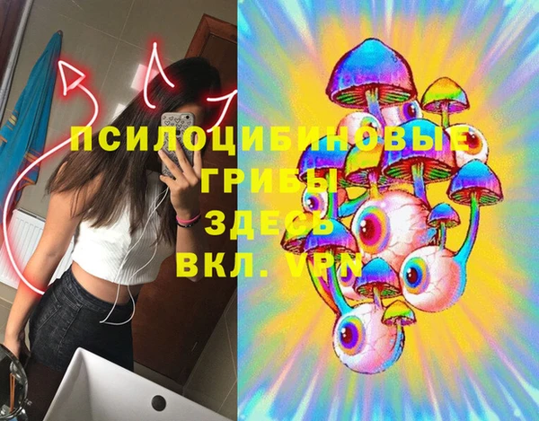 мдпв Липки