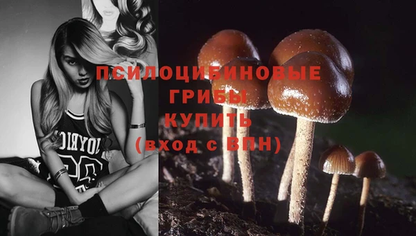 дмт Фурманов