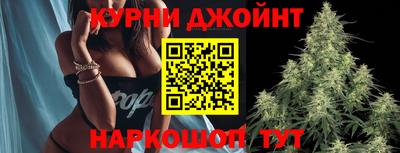 мяу мяу мука Абакан