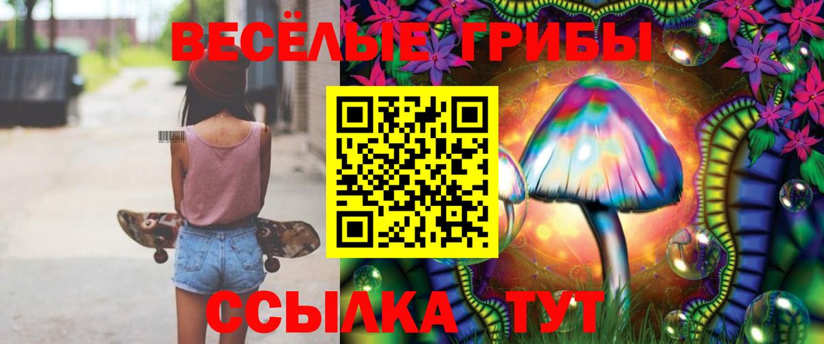 купить   Галлюциногенные грибы прущие грибы  Вход с VPN  Медногорск 